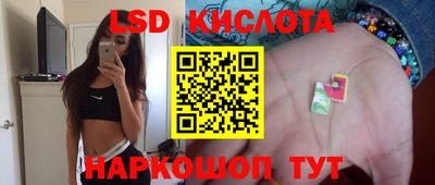 PSILOCYBIN Бийск