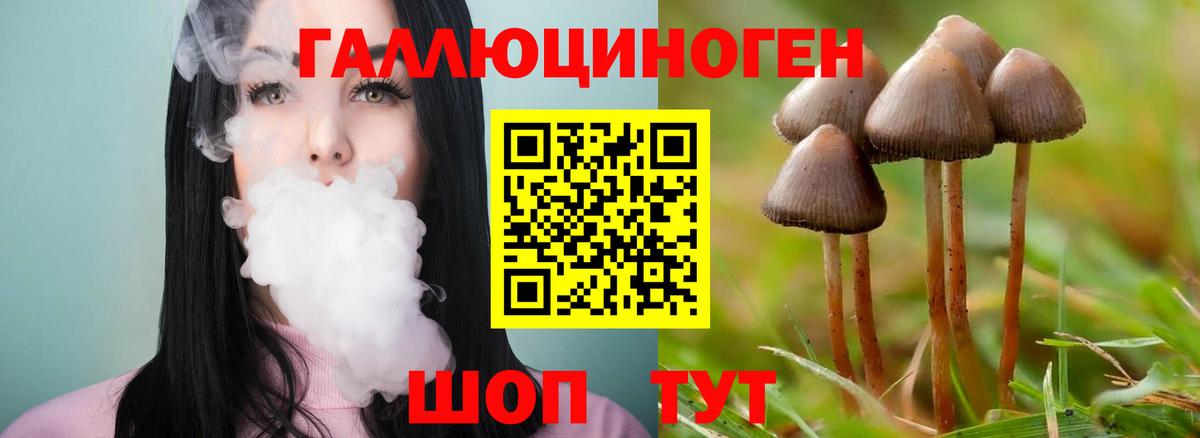 Волжск  Галлюциногенные грибы GOLDEN TEACHER  купить наркотики цена  Вход с VPN  Псилоцибиновые грибы MAGIC MUSHROOMS 